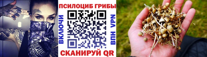 Псилоцибиновые грибы мицелий  закладки  Оха 